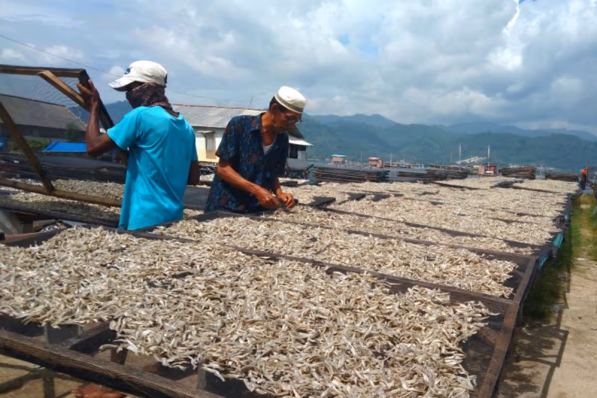 Foto Pasar Labuhan Ratu Lampung Timur